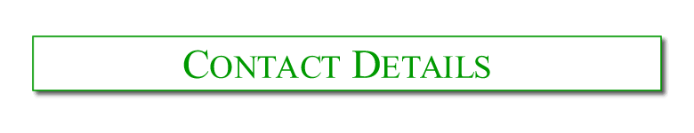 �V�ۘJ�����S�R���T���^���g������ ���₢���킹��